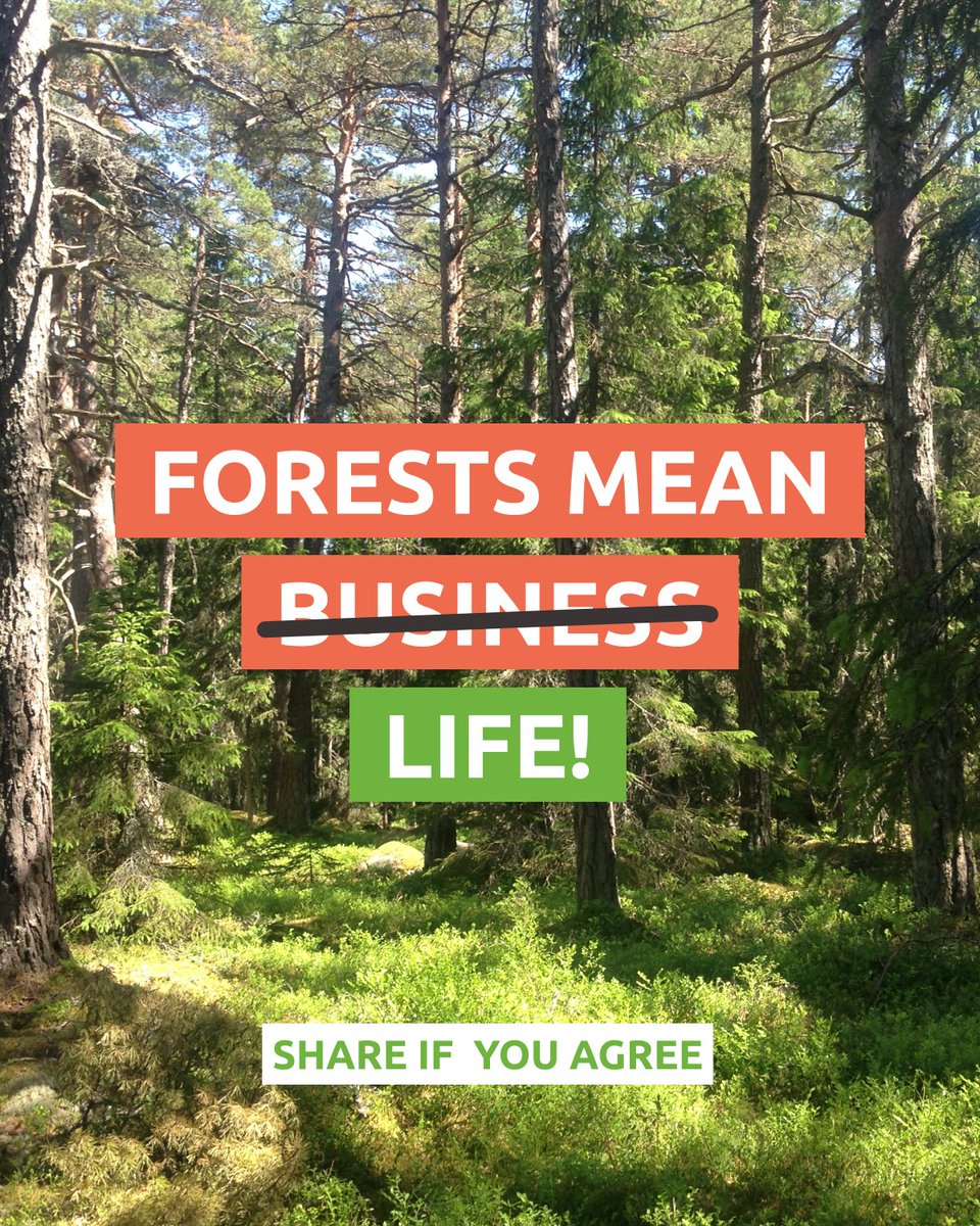 Hey <a href="/FAO/">Food and Agriculture Organization</a>! We have a major correction for this year’s #DayOfForests tagline: Forests Mean Life! 🌳🦅🐝💧🌈

Don’t promote forests burned for energy or cut down for paper packaging, the two most short-lived ways to use wood. Instead, celebrate all life forms who call forests home!