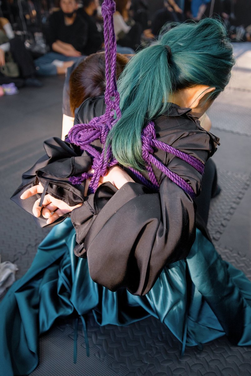 LyraNoctis tweet media