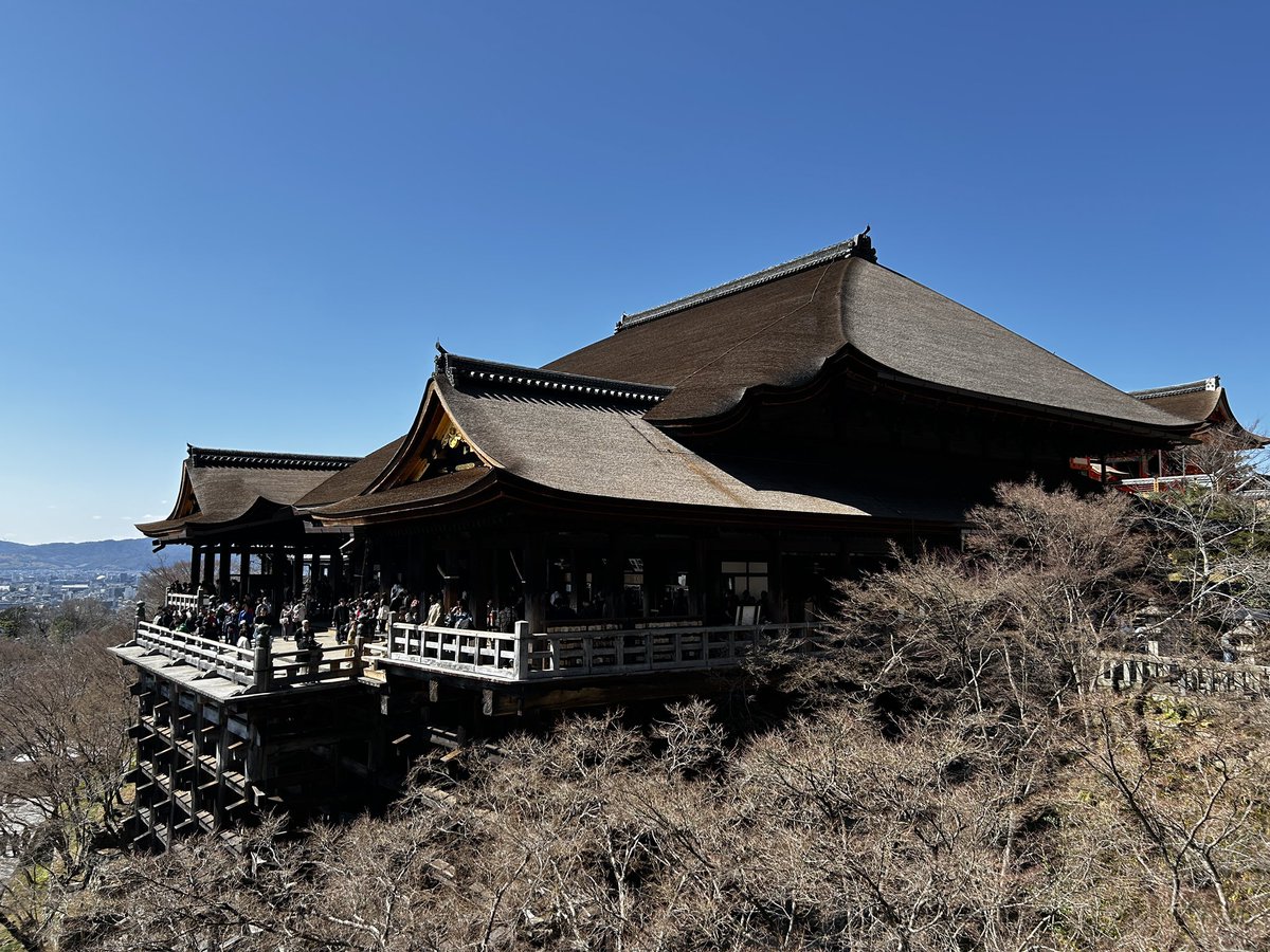 でんちゅう tweet media