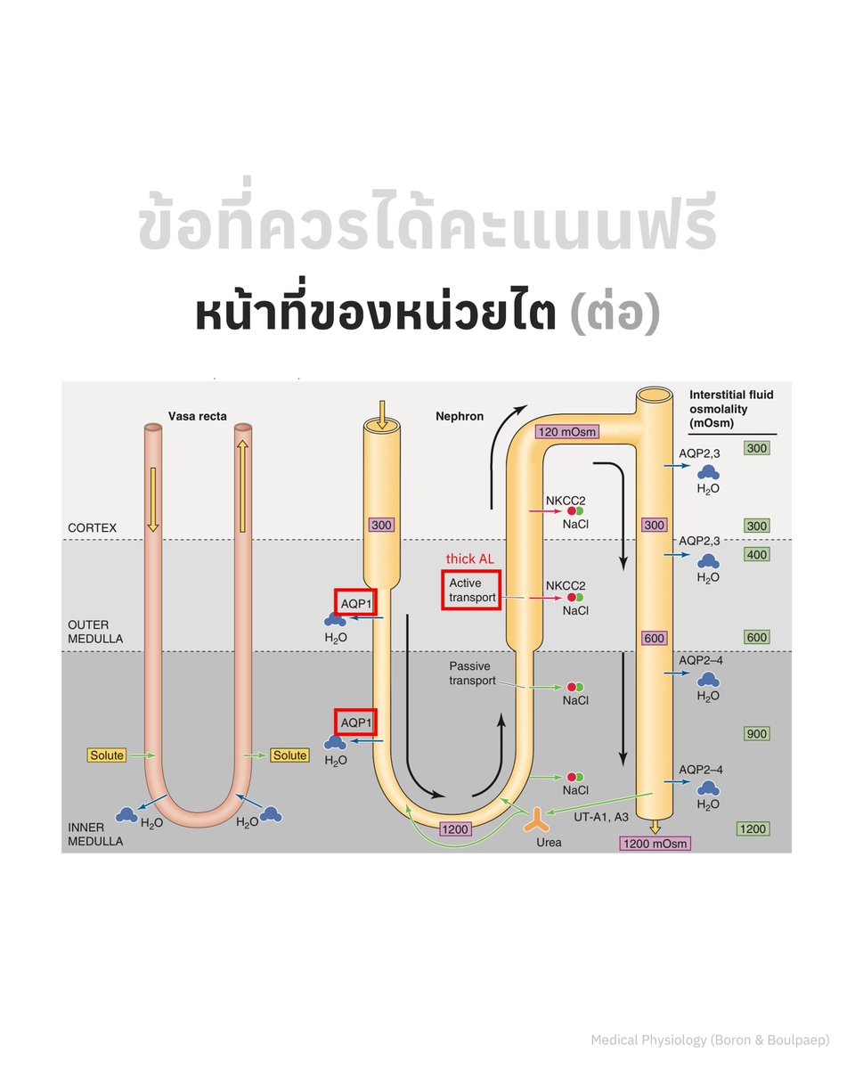 FishermanEduc's tweet photo. ข้อที่ควรได้คะแนนฟรี https://t.co/L5cR0MsR2O