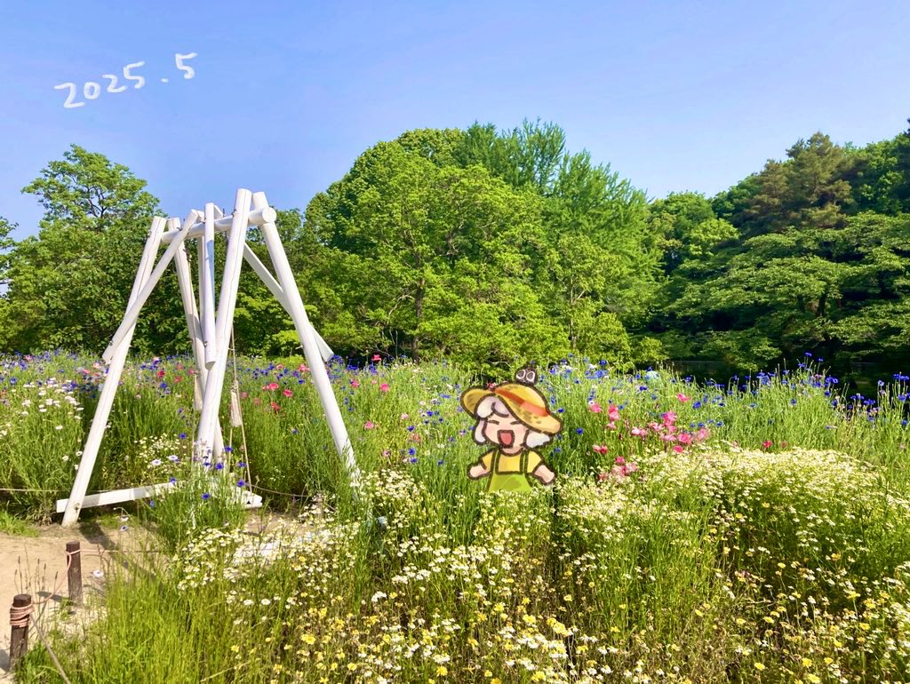 as（あす） tweet media