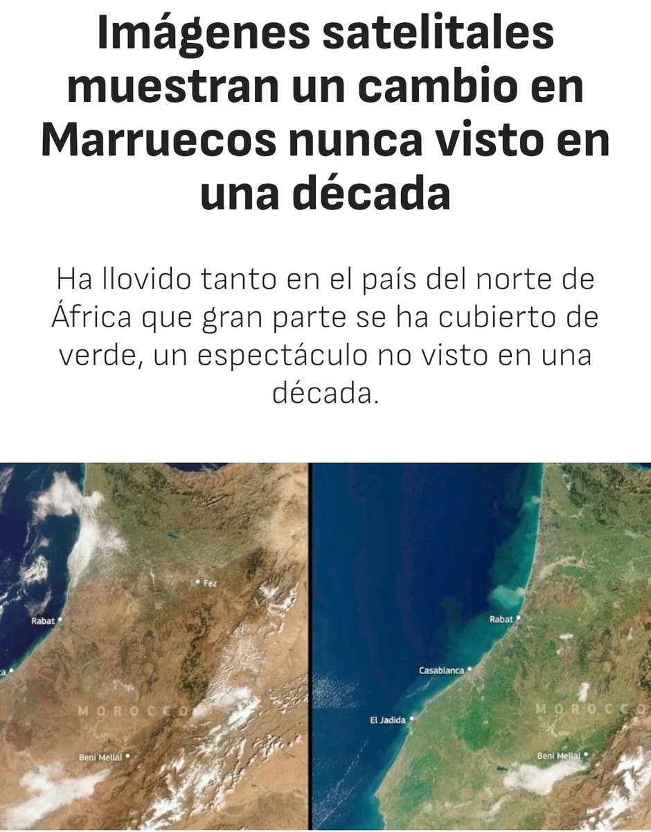 Negaman 😎 tweet media