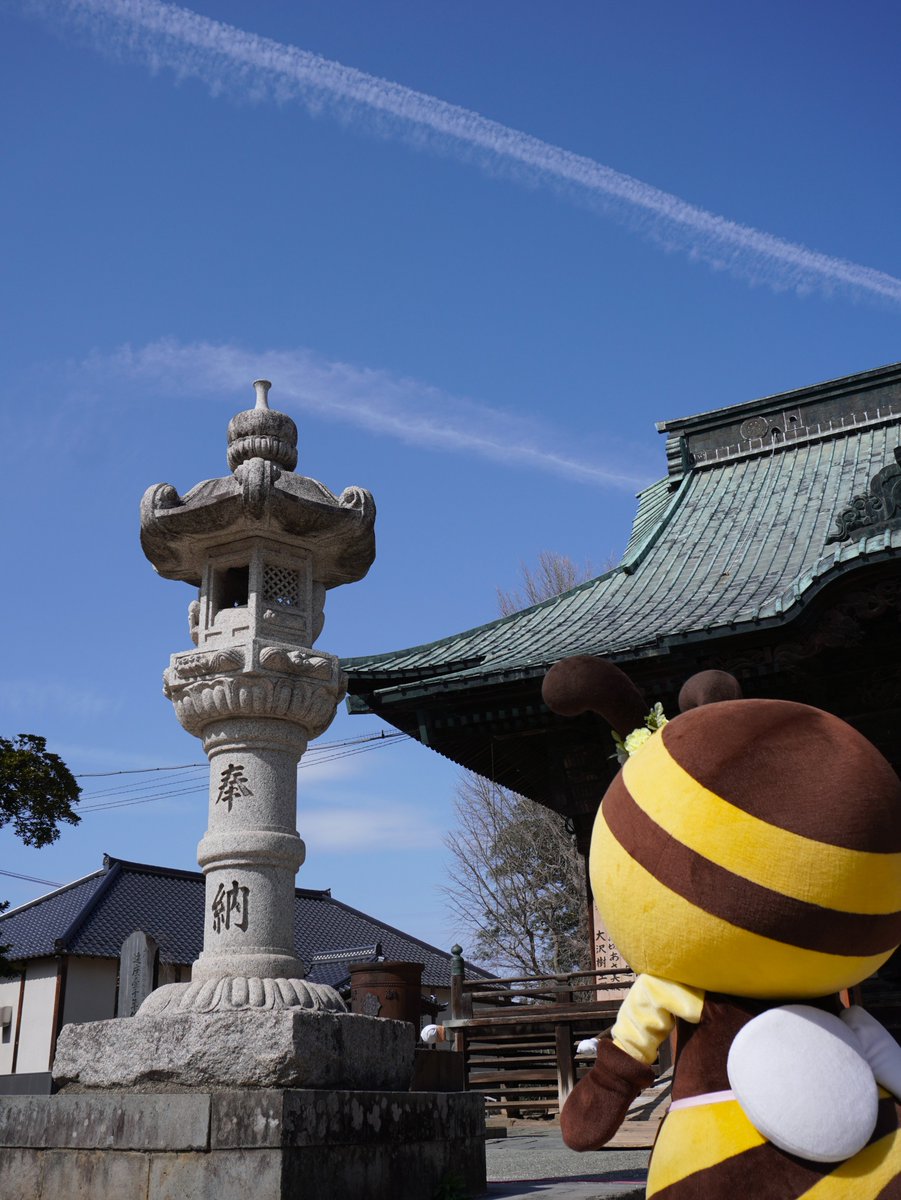 GnistStm's tweet photo. みっころ、ひこうき雲だよ、空をとぶミツバチだから、青い空がお似合いだね。
 #原宿みっころ #不動ヶ岡不動尊總願寺 #お寺で射会 https://t.co/UZ8HylGgkA