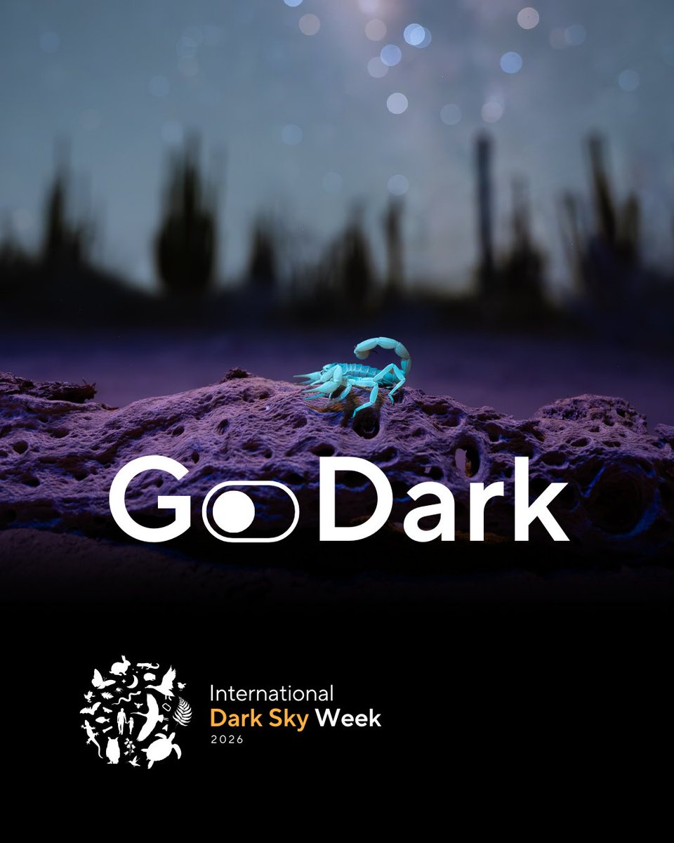 The Nature Chronicles Prize 2025/26 tweet media