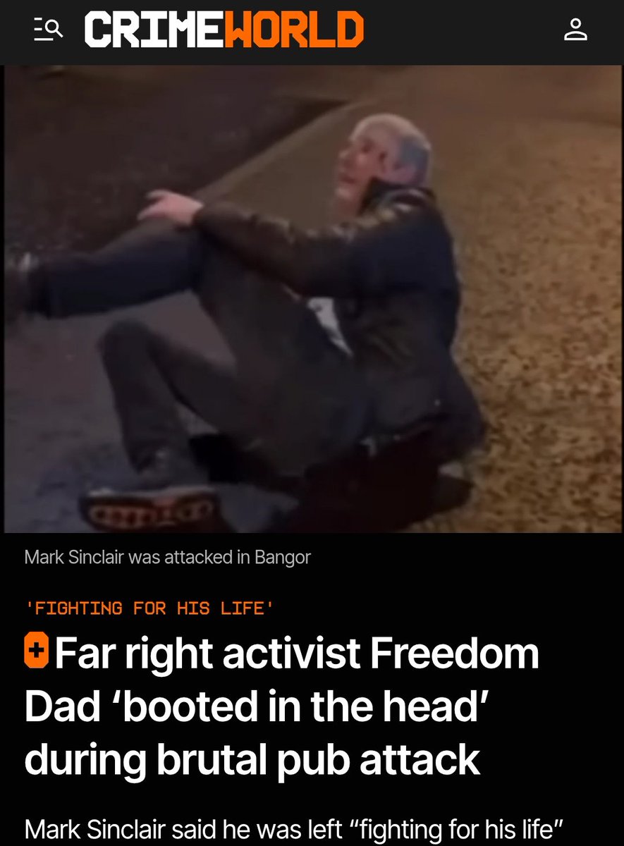 The Flare tweet media