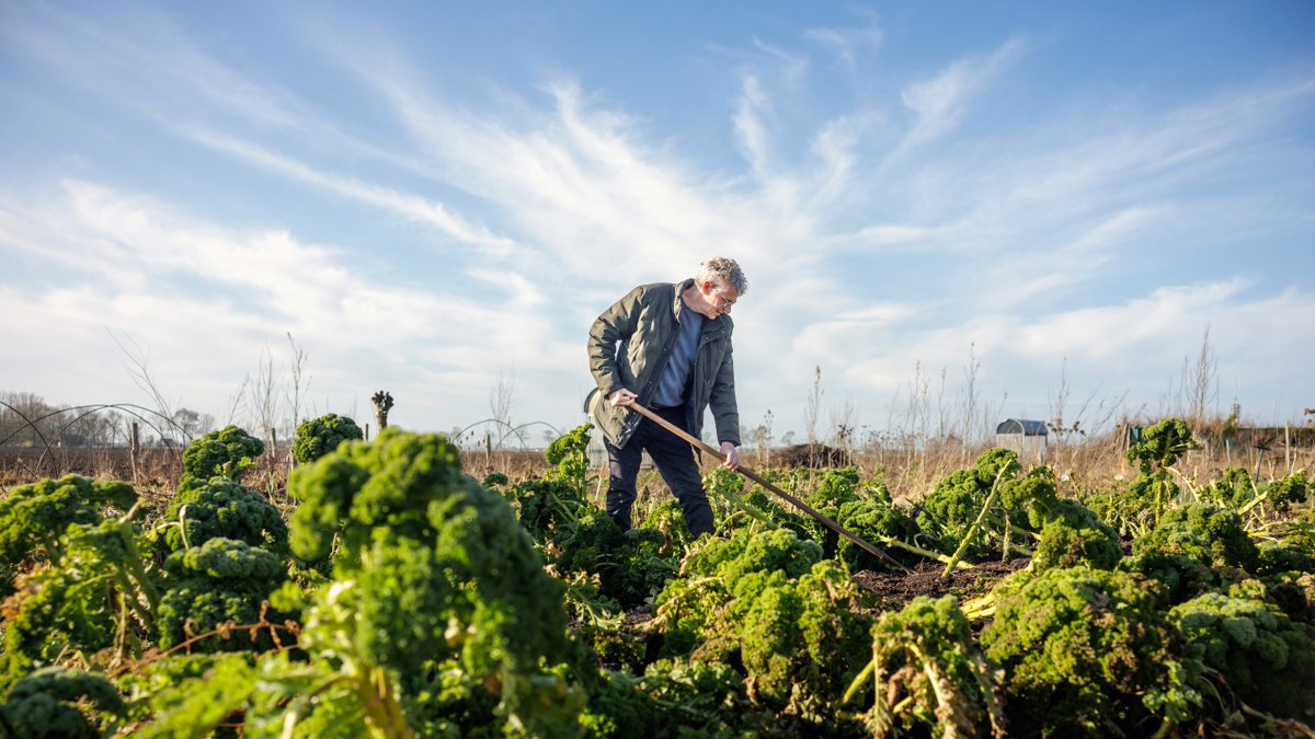 Provincie Noord-Brabant tweet media