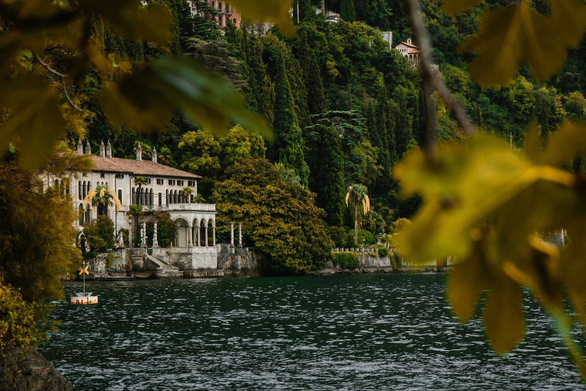 Frid 🇪🇺🦌 tweet media