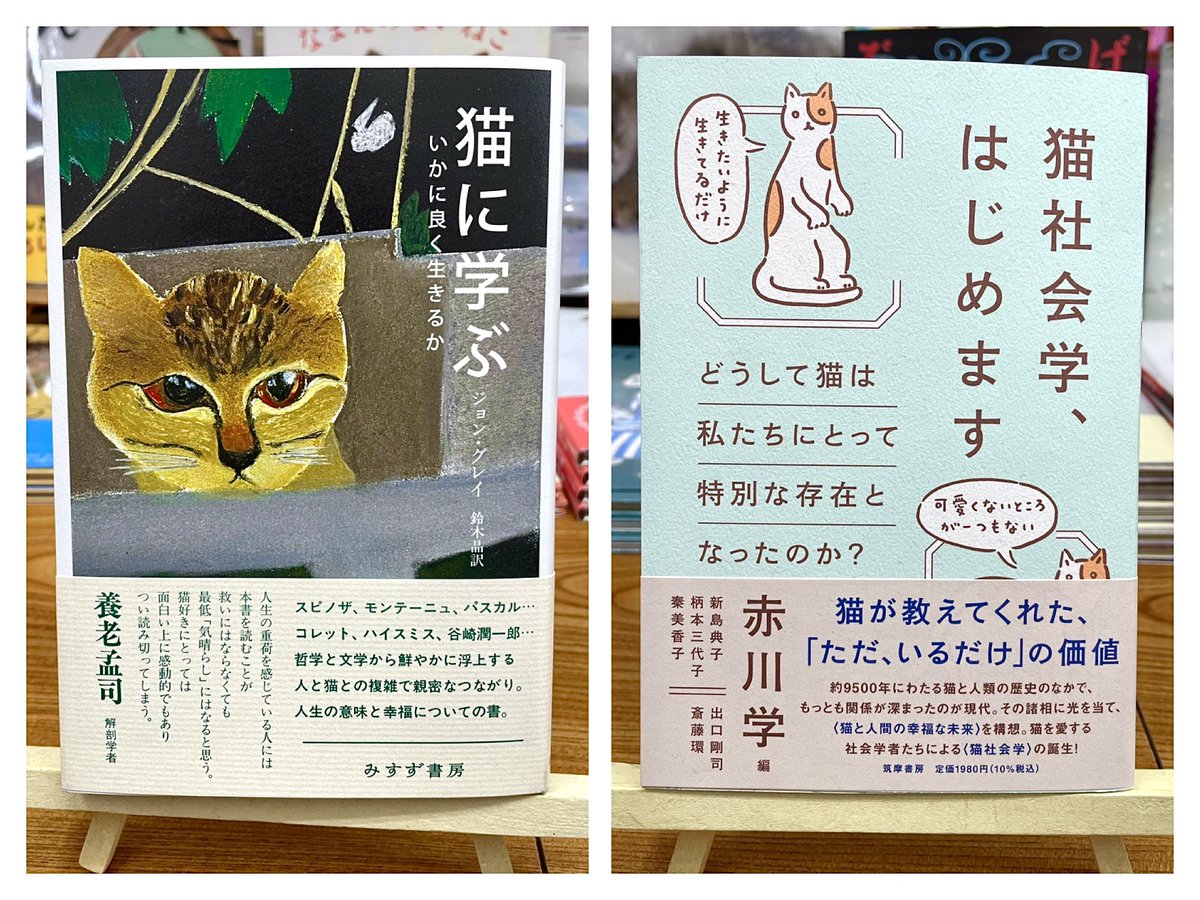 anealoha65's tweet photo. 猫をこよなく愛する社会学者たちが、なぜ猫は可愛いのか、猫島とは何か、人と猫はどのように互いを理解し合っているのか……など５つの視点から考察し「猫と人間の幸福な未来」を構想
📖『猫社会学、はじめます -どうして猫は私たちにとって特別な存在となったのか？-』1980円
序：猫好きの、社会学者による、猫のための社会学……赤川学
第１章　猫はなぜ可愛いのか？……赤川学
第２章　私たちは猫カフェから何を得ているのか？……新島典子
第３章　ふつうの猫しかいない「猫島」に人はなぜ訪れるのか？……柄本三代子
第４章　猫から見た「サザエさん」 猫が「家族」の一員になったのはいつか？……秦美香子
第５章　人と猫は、いかにして互いを理解し合っているのか？……出口剛司
特別対談　猫が教えてくれた「ただ、いるだけ」の価値……赤川学×斎藤環

動物学や歴史の新知見も交えて、深い人間観をもたらしてくれる……哲学が苦手という人にもオススメ
📖『猫に学ぶ いかに良く生きるか』3300円
政治哲学者ジョン・グレイが猫のことを色々と読んでいたら、自由を巡って深い哲学的考察に達しているという、いささか変わった本書。
1章 猫と哲学
2章 猫はどうして必死に幸福を追求しないのか
3章 猫の倫理
4章 人間の愛vs猫の愛
5章 時間、死、そして猫の魂
6章 猫と人生の意味
-いかに生きるかについて、我々人間は猫から何を学びうるか-
📚姉川書店_神保町にゃんこ堂は地下鉄「神保町駅」A4出口出てすぐ右の建物
平日10:00-18:00
土曜・祝日10:00-17:00
日曜定休
神保町にゃんこ堂HP・猫本の通販→https://t.co/3SR3vfvnle 
＊商品の配送対応は合計金額1500円より承ります