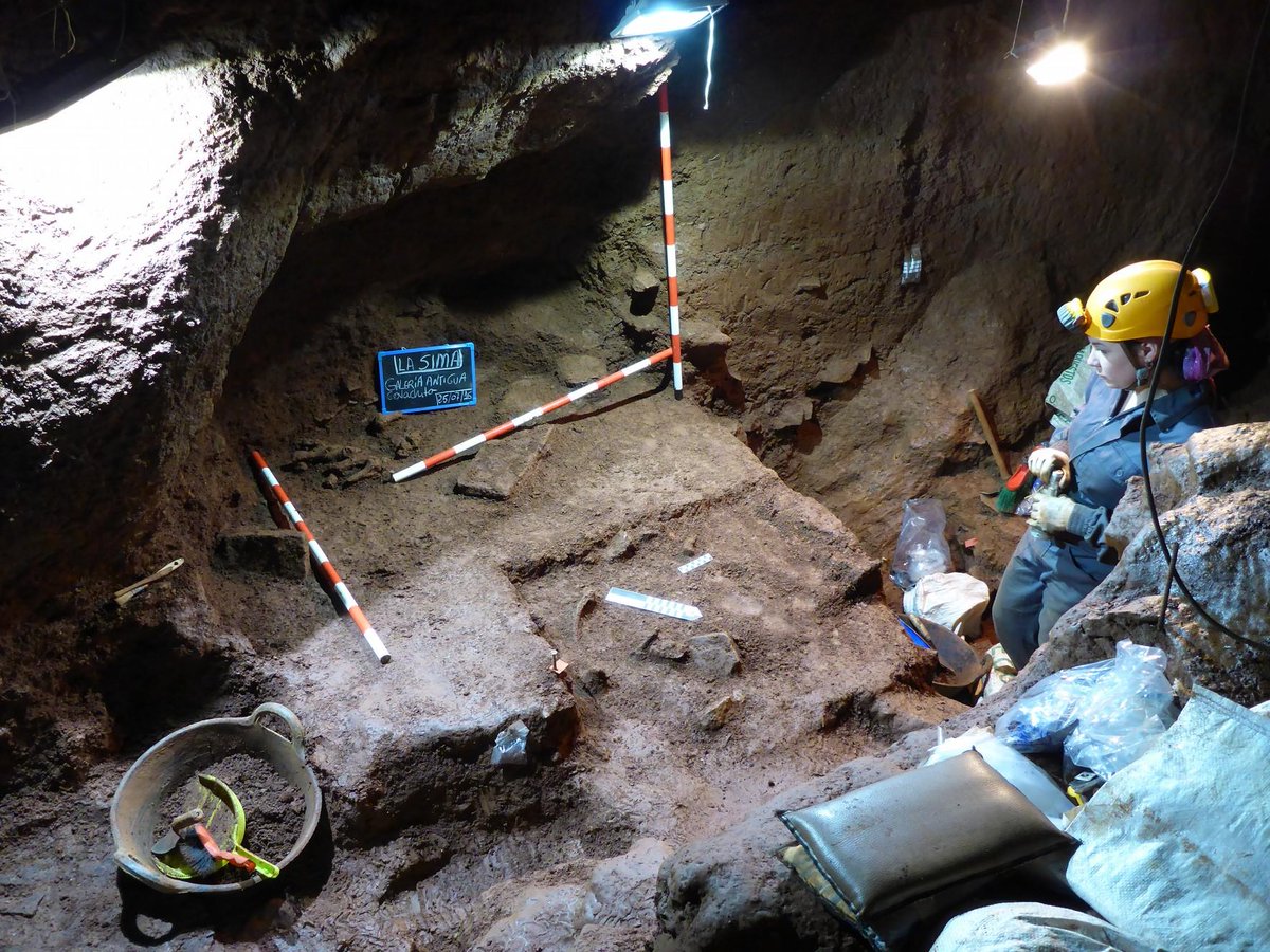 Fernando Barroso tweet media