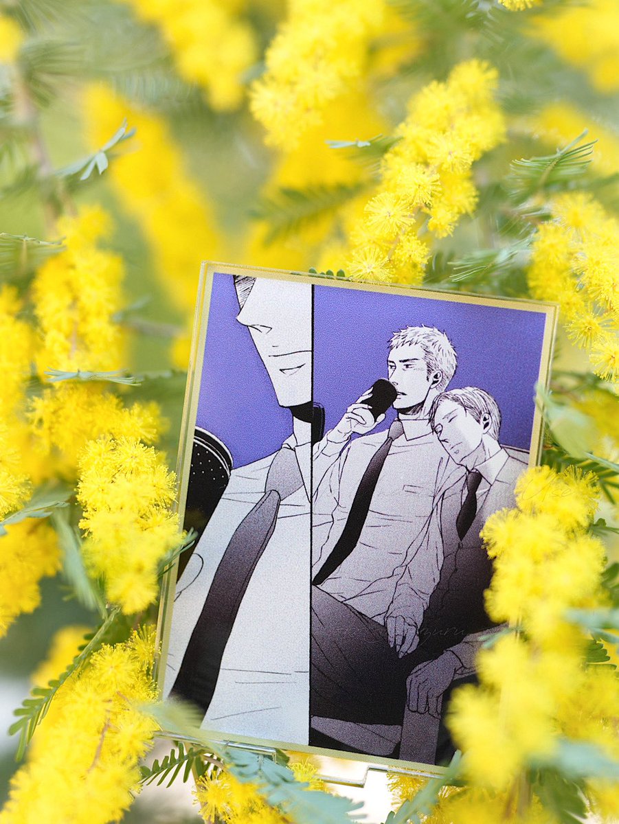 公園のベンチでデート💛
(というイメージです🐥)

𝕋𝕨𝕚𝕥𝕥𝕖𝕣𝕚𝕟𝕘 𝔹𝕚𝕣𝕕𝕤 ℕ𝕖𝕧𝕖𝕣 𝔽𝕝𝕪
#囀る写真部
