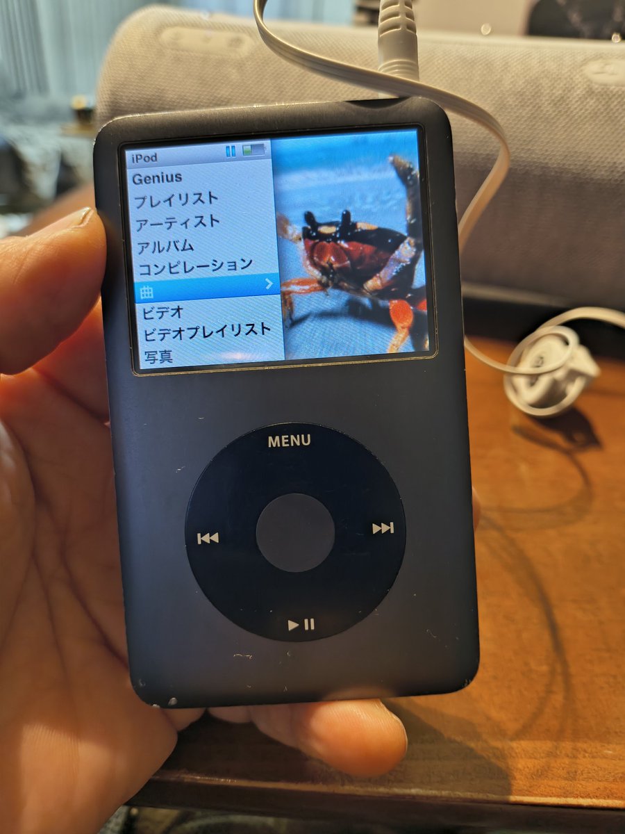 グリーンダヨ tweet media