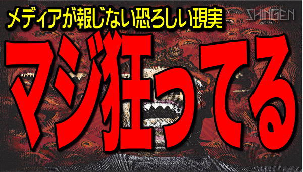 SHINGEN【公式】 tweet media