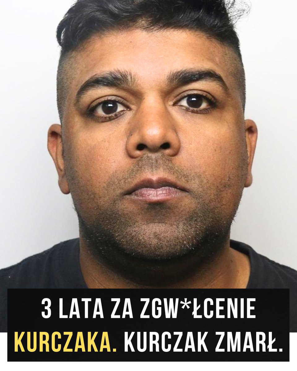 Bruno Topola tweet media