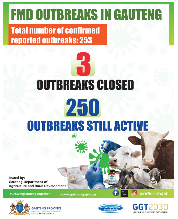 OfficialGDARD's tweet photo. Update: Foot & Mouth Disease (FMD) Active Cases in Gauteng
#GrowingGautengTogether #GDARD #FootAndMouthDisease #FMDUpdate #GautengAgriculture #Biosecurity #South AfricanFarming #LivestockHealth #AnimalHealth #GGT2030 https://t.co/qfVhEqYMaQ