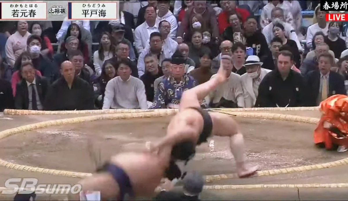 hiradoumi_jp's tweet photo. 大相撲三月場所【九日目】5-4
パワー技ｱｱｱ！((。ﾟωﾟ) ｳﾜｱｱーー!
攻めた！負けでも内容がｲｲ！だから平戸海はｲｲ！記憶に残る一番ｯ！ https://t.co/0AcS5KLYBj