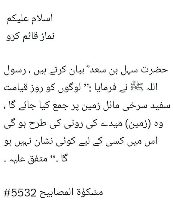 CHOUDRY WITH IK tweet media