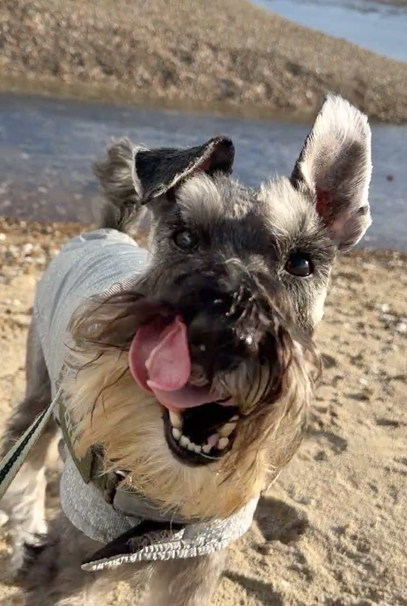 𝓙𝓾𝓼𝓽 𝓜𝓮 𝓐𝓷𝓭 𝓞𝓼𝓬𝓪𝓻 ♡ tweet media