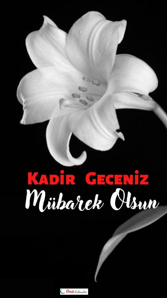 Allah'ım Senden gelecek en küçük hayra muhtacız; bizleri affet ve zalimler topluluğuna karşı Sana ve Resulüne inanmışları muzaffer kıl.