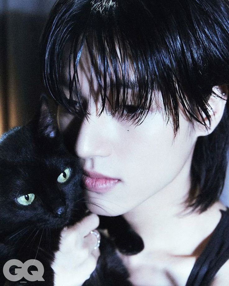 Just_wy_'s tweet photo. 🐈‍⬛ https://t.co/69iXDKGVxY