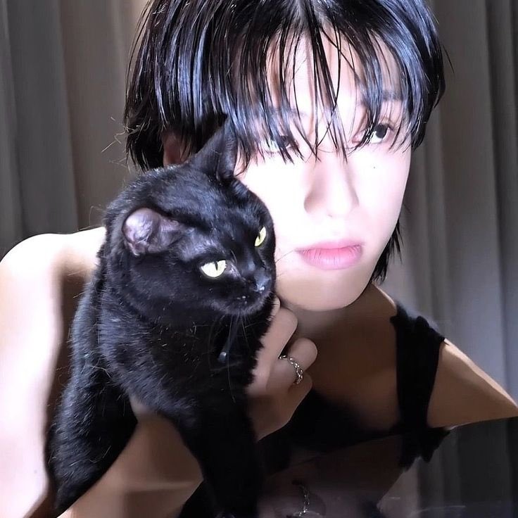 Just_wy_'s tweet photo. 🐈‍⬛ https://t.co/69iXDKGVxY