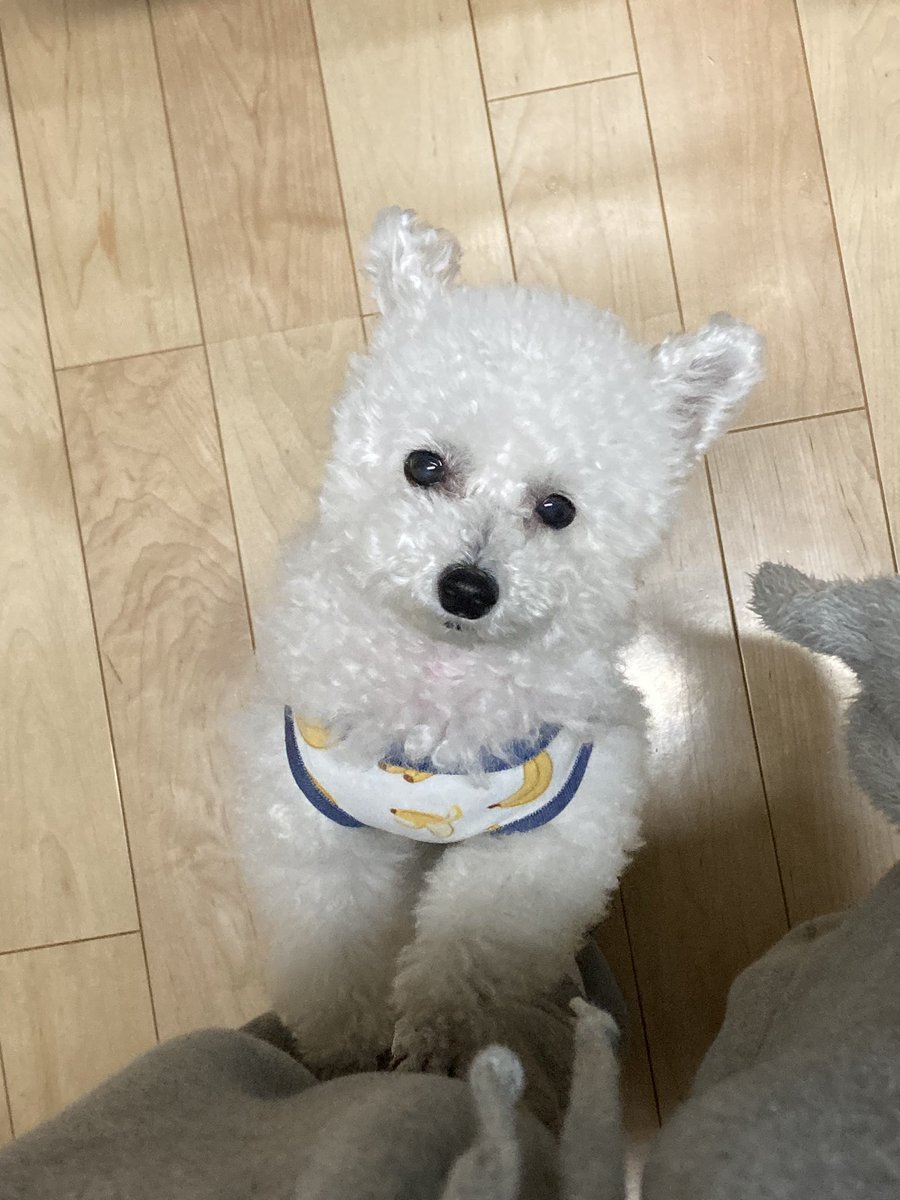 くるるのママ tweet media