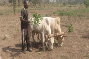 Solidarity with South Sudan tweet media