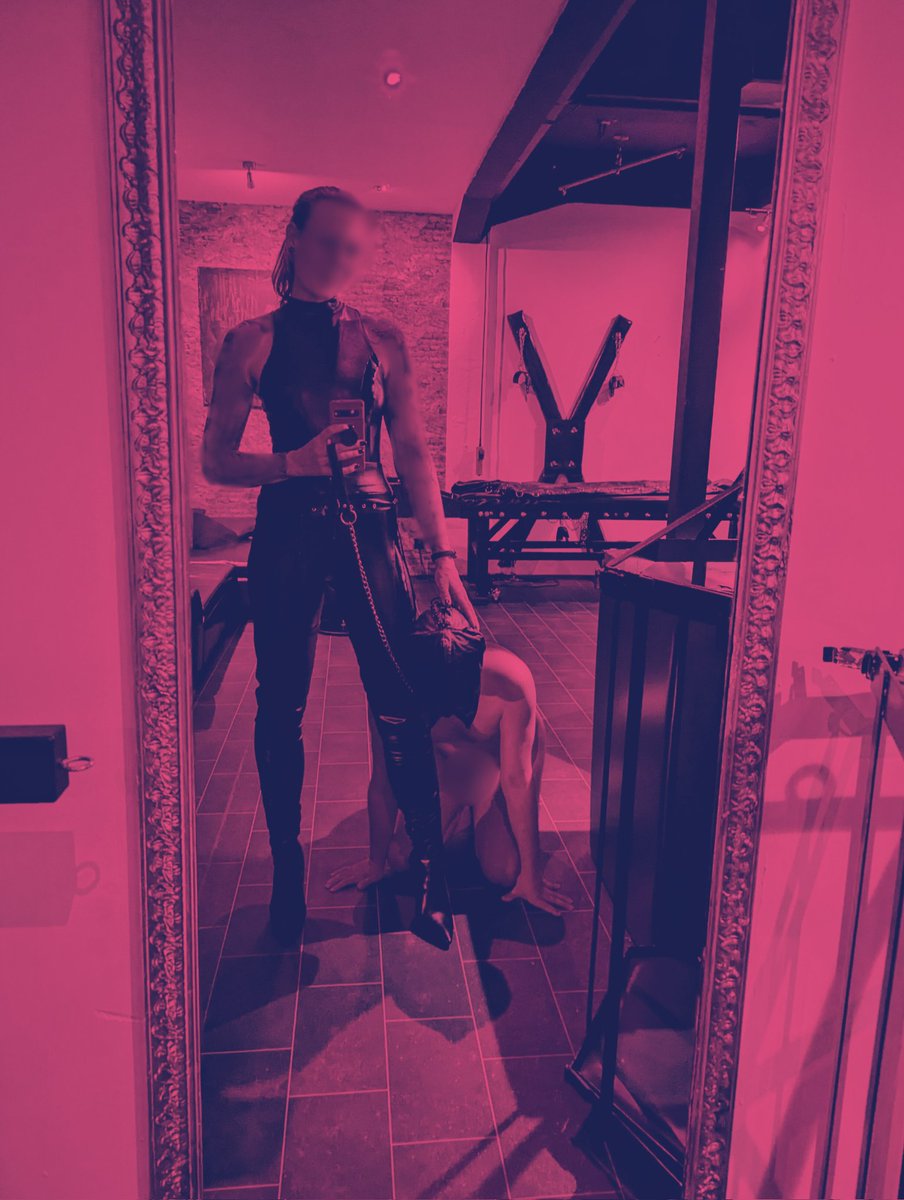 Lady Alexa X tweet media