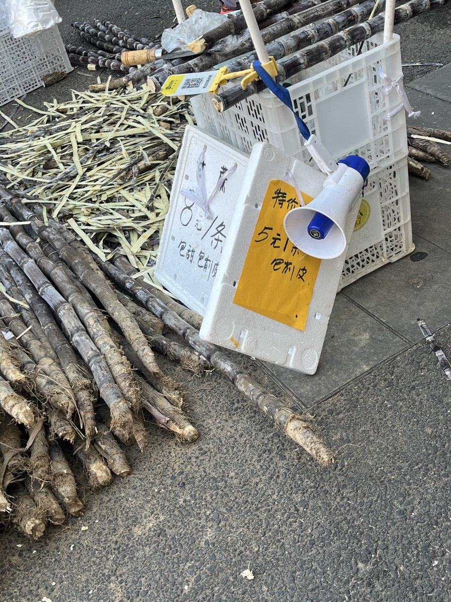 獨孤求跌 tweet media