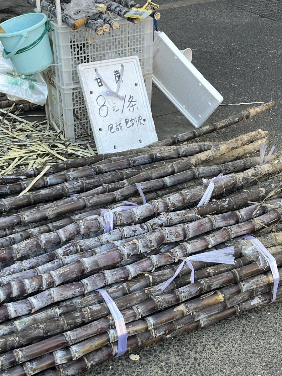 獨孤求跌 tweet media