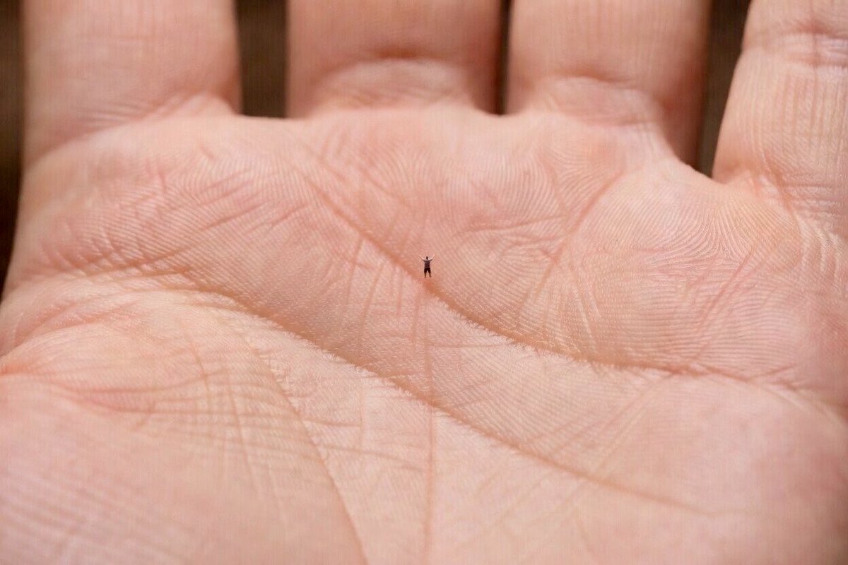 JamesVT89 tweet media