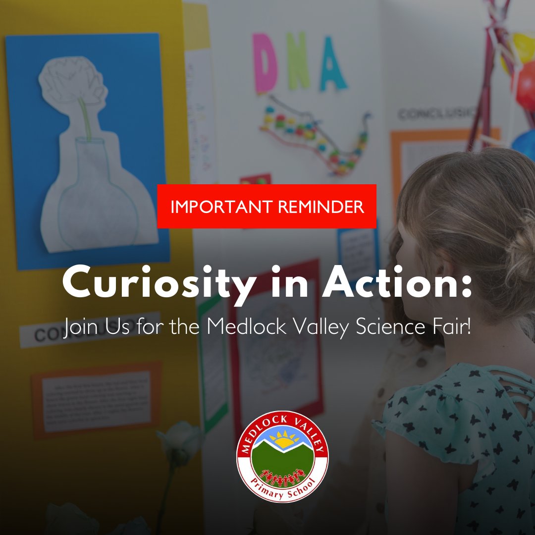 Medlock Valley Primary School tweet media