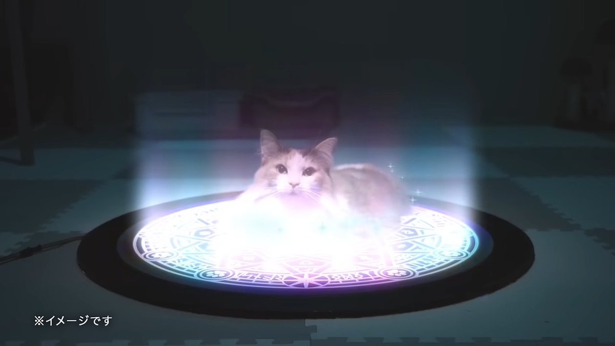 ライブドアニュース tweet media