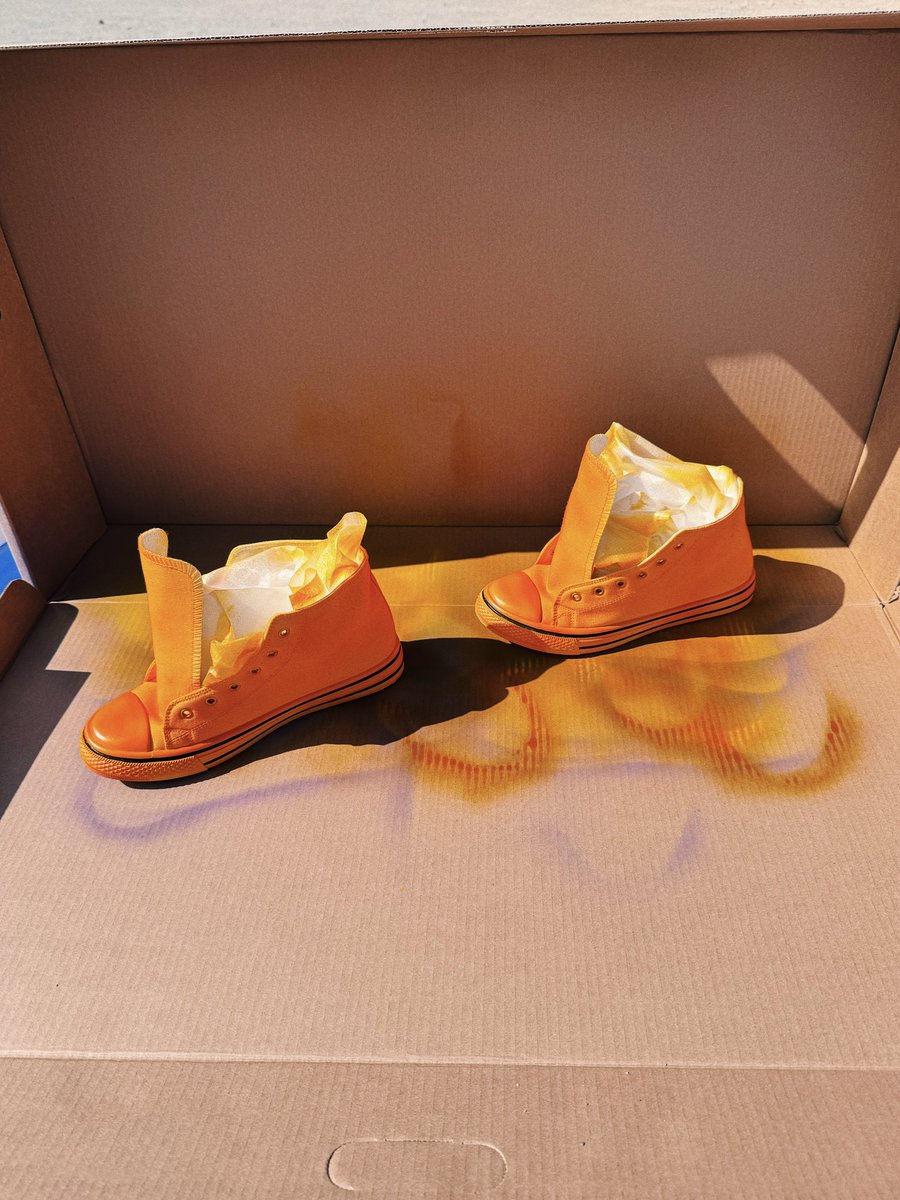 カメレオン・ライム・ウーピーパイ tweet media