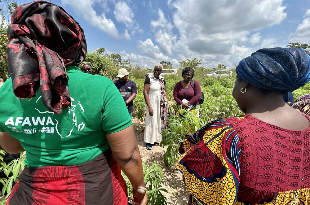 African Development Bank Group tweet media