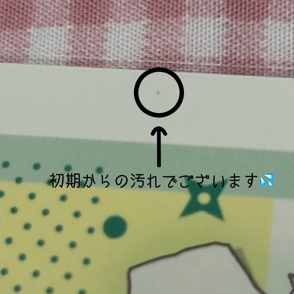 ひまわり🌻 tweet media