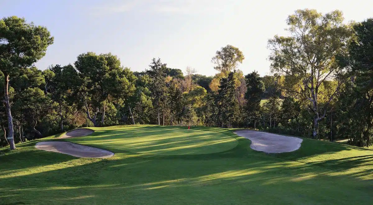 A Golfing Experience tweet media