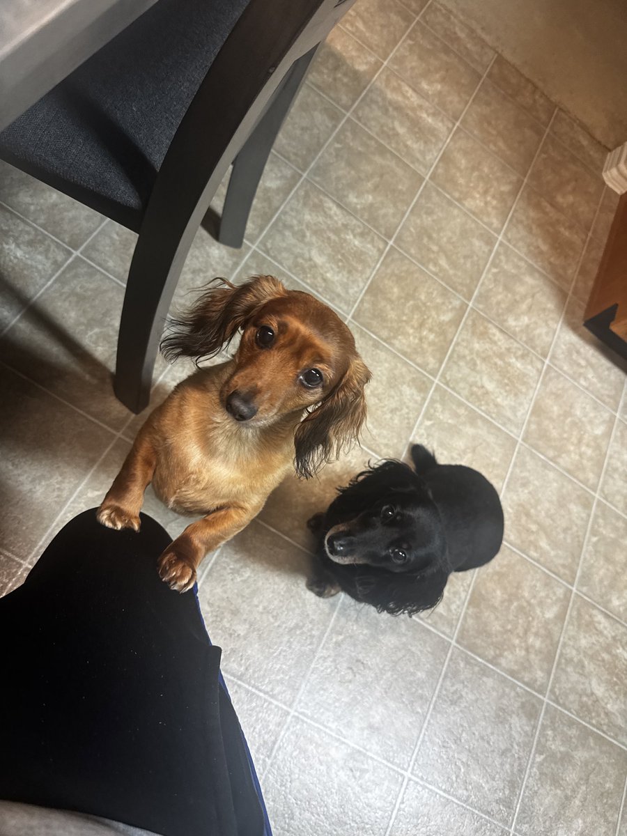 yng hstlr tweet media