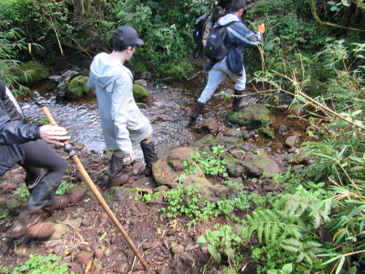 LegendaryRwanda's tweet photo. What to Pack for Gorilla Trekking? https://t.co/xgnWoMjrBI @visitrwanda_now @LegendaryRwanda @VolcanoesNP https://t.co/eduaavIcIh