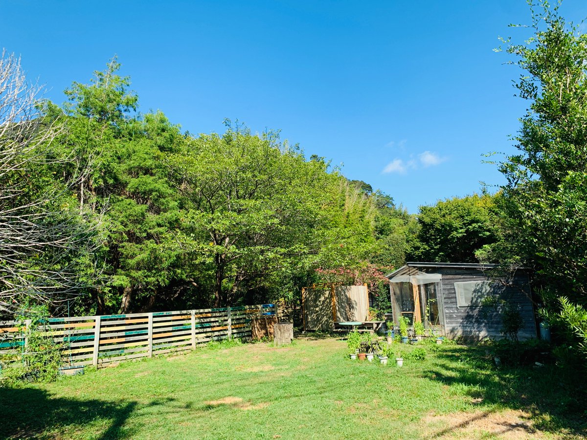 TRAIN TV【公式】 tweet media