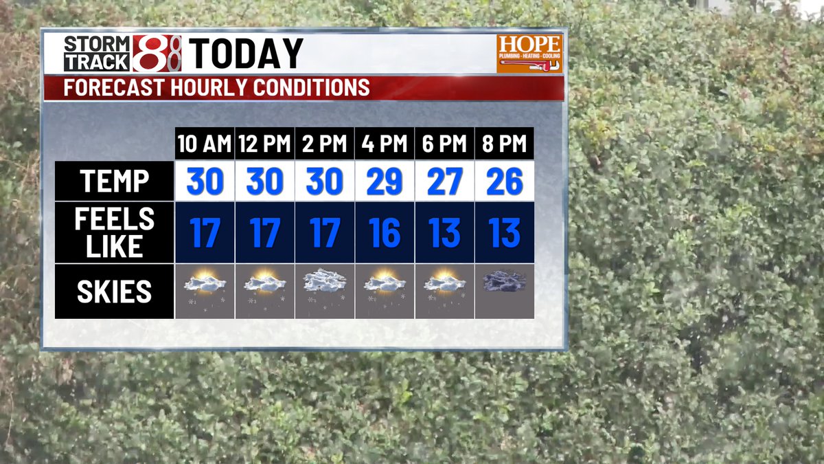 Marcus Bailey tweet media