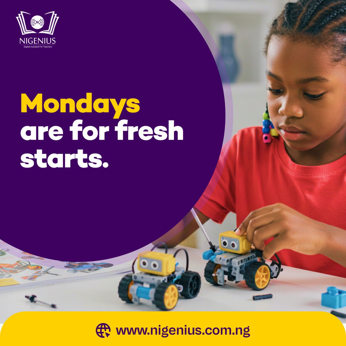 Nigenius tweet media