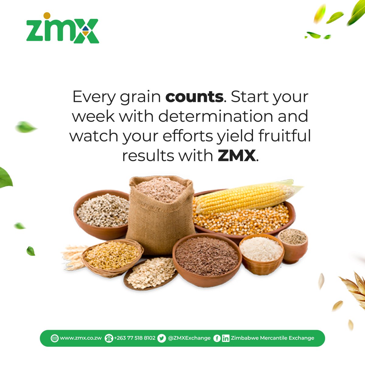 Zimbabwe Mercantile Exchange tweet media