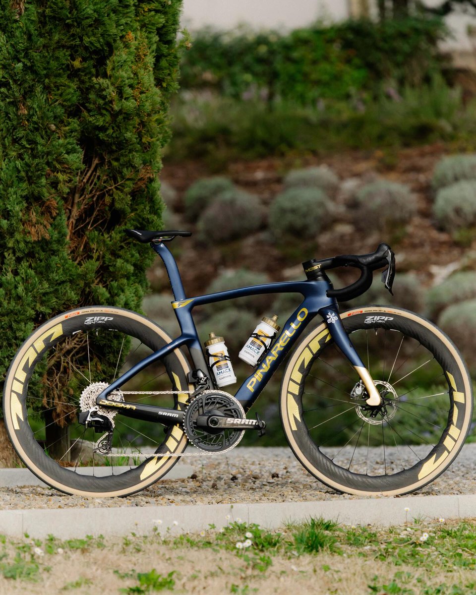 株式会社Many'S tweet media