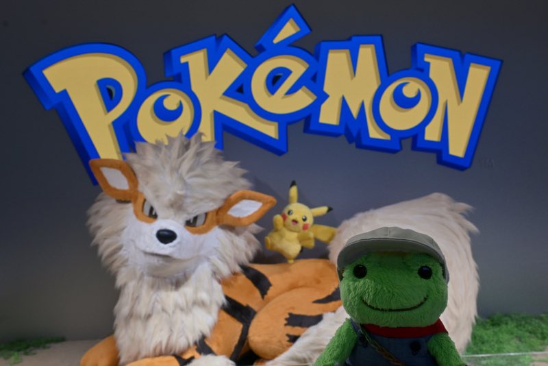 りらぴく tweet media