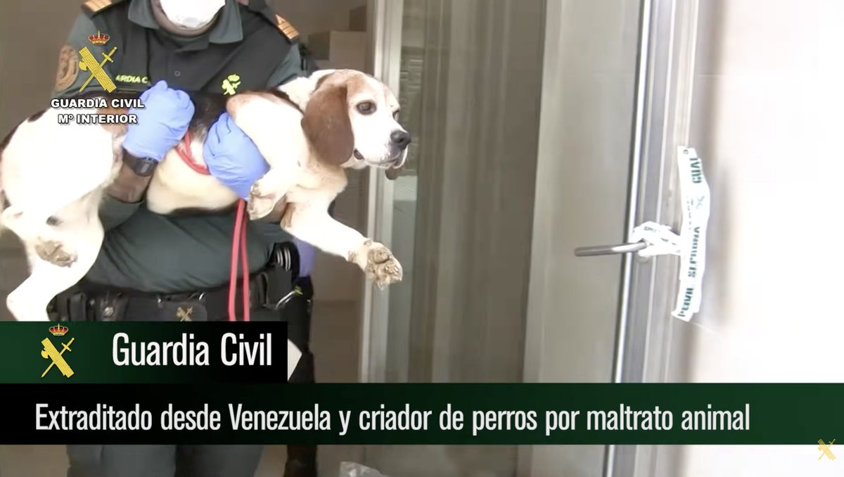 INTERcids tweet media