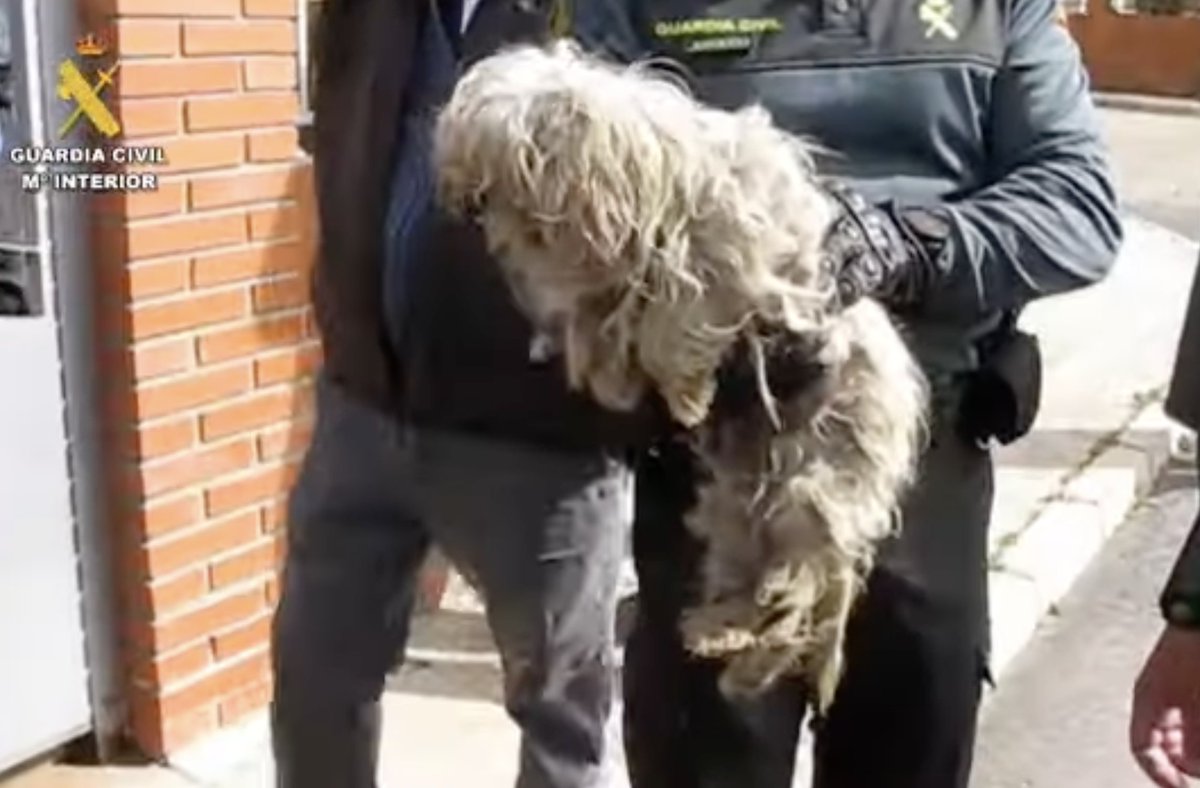 INTERcids tweet media