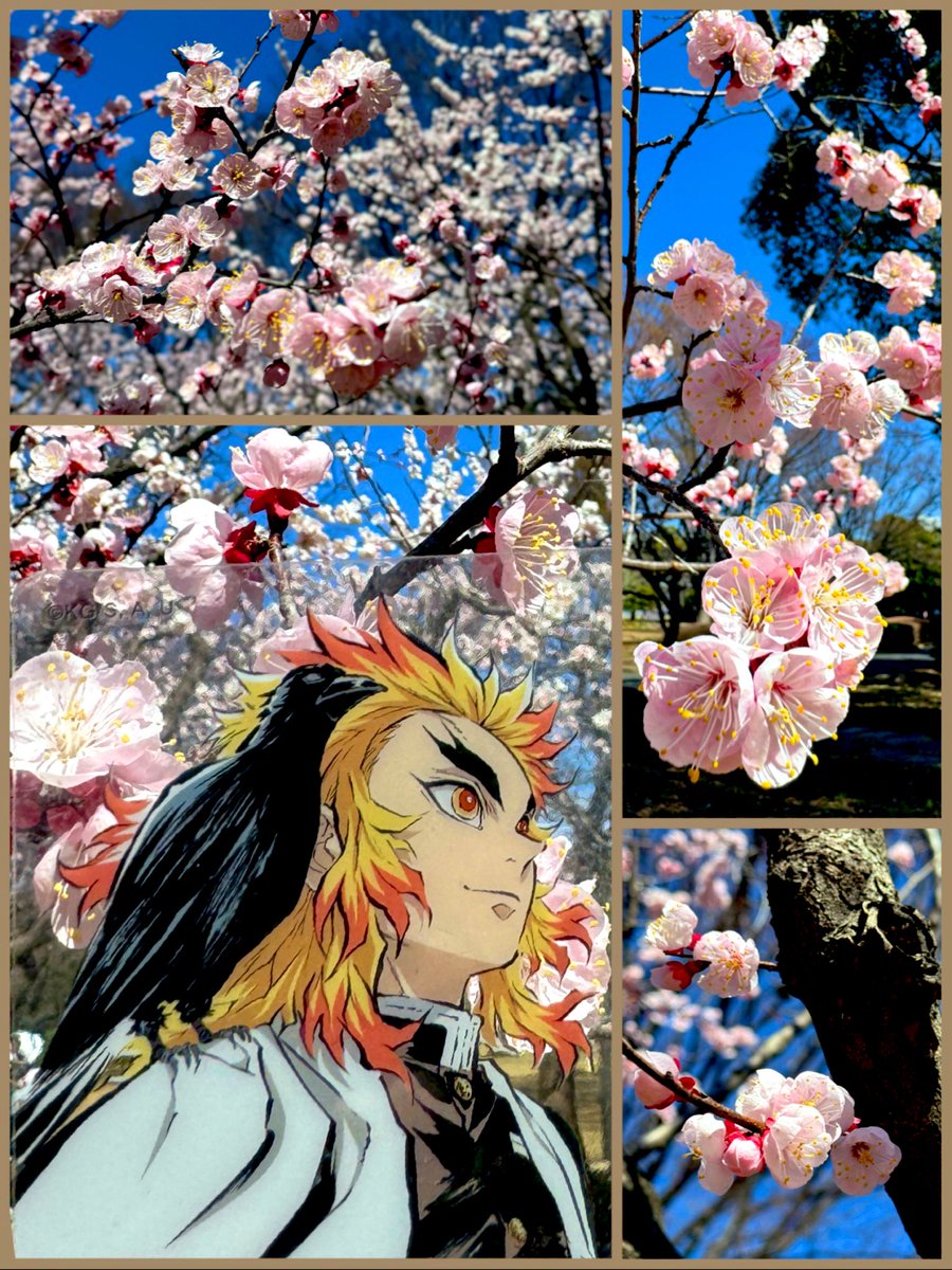 昨日、杏の花を見にお出かけしてきました。
ぽこぽこと枝に咲く可愛いお花。昨年より少し早く満開になったそうです☺️