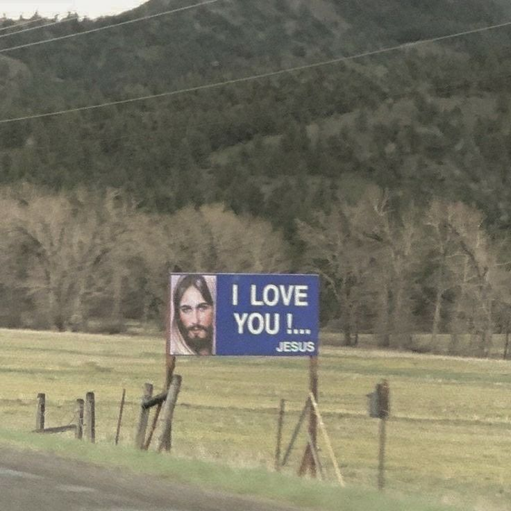 MythoAmerica 🌲 tweet media