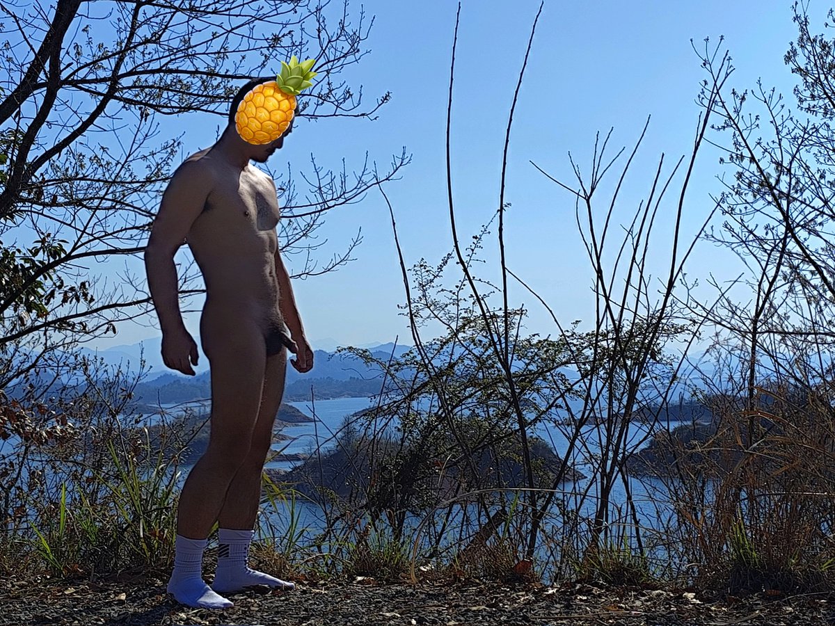 黏黏猕猴桃大菠萝 tweet media