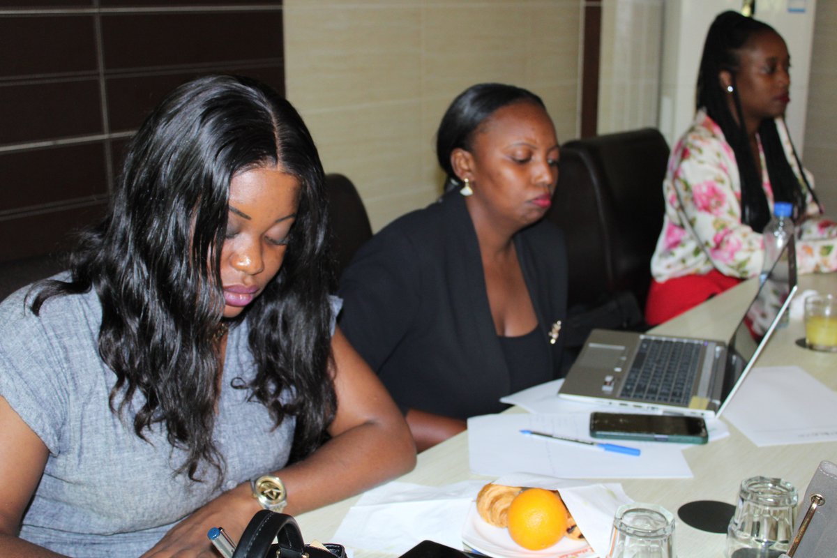 Brainforest Gabon tweet media